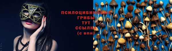 героин Алексин