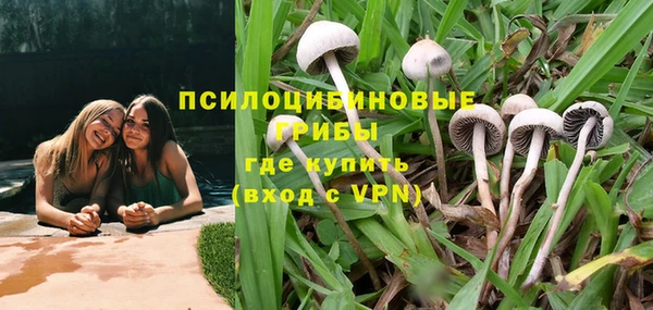 амф Алзамай