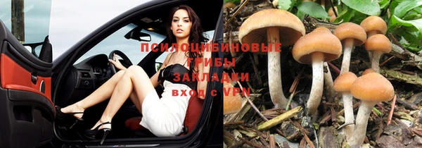 амф Алзамай