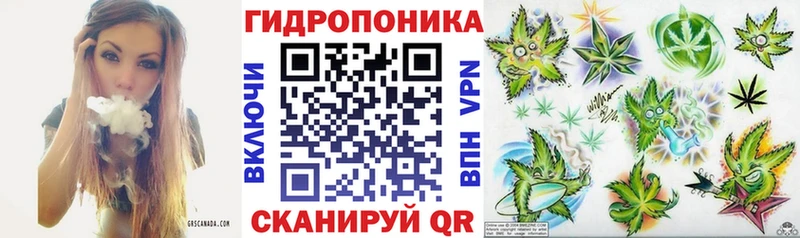Конопля White Widow  цены   Агрыз 